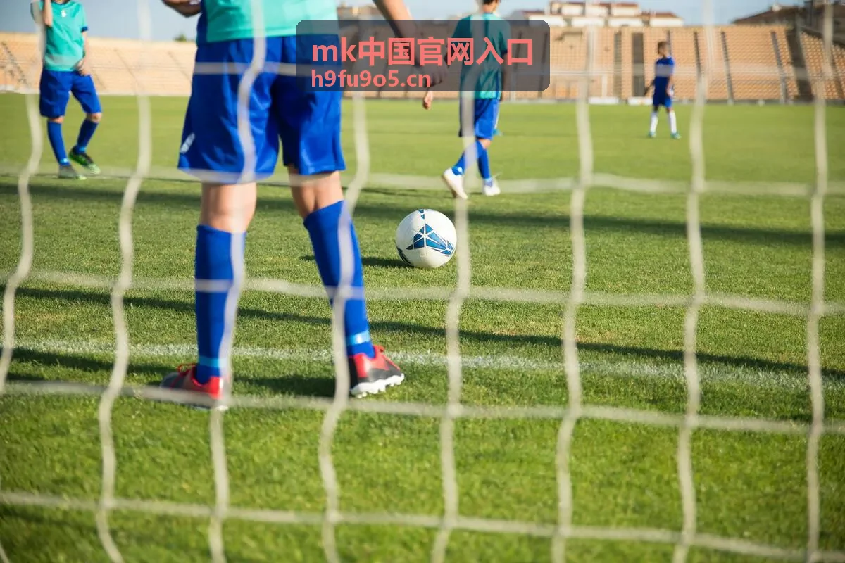 mk中国官网入口 卡片零钱包